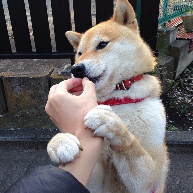 《Dota 2“惊天逆转”,传奇精彩不断》,dota2精彩集锦top10