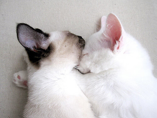 《玩家热议:最具人气的英雄或角色是谁?》,游戏人气角色排名