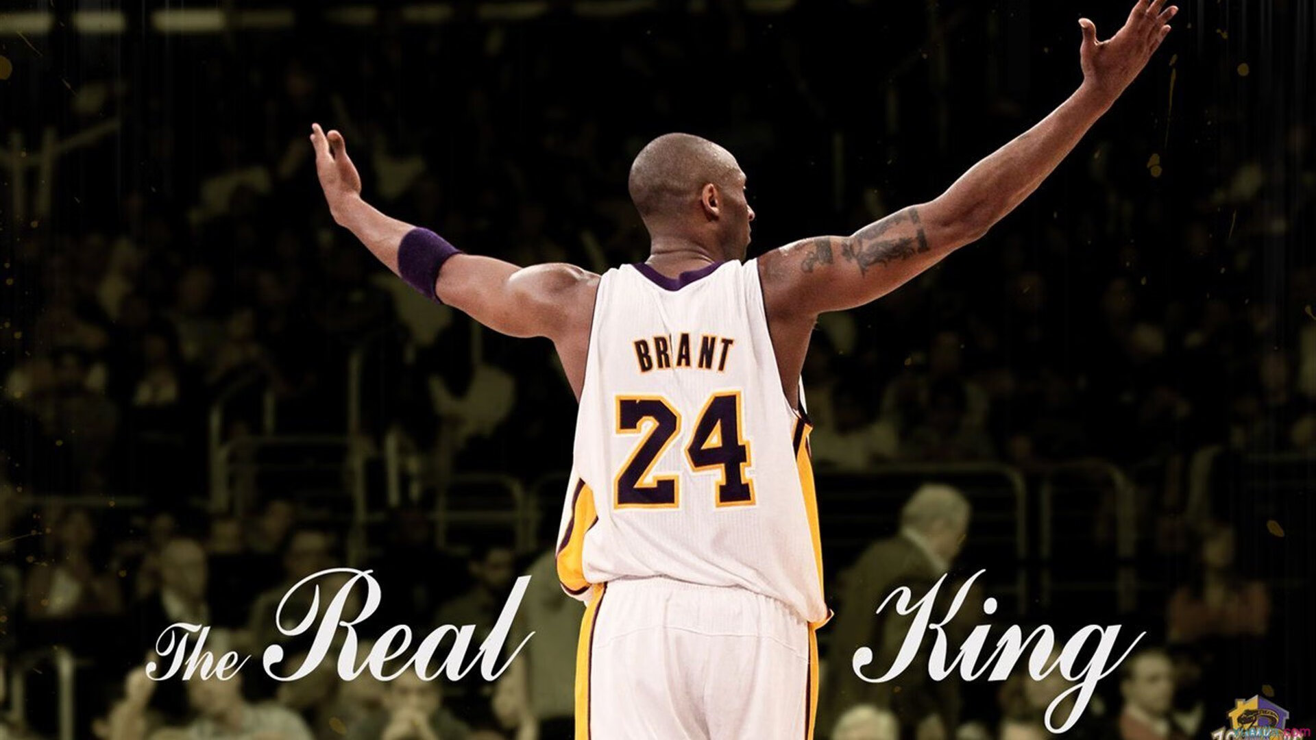 “彼得森助力南非羚羊队打破防守，攻破对手”