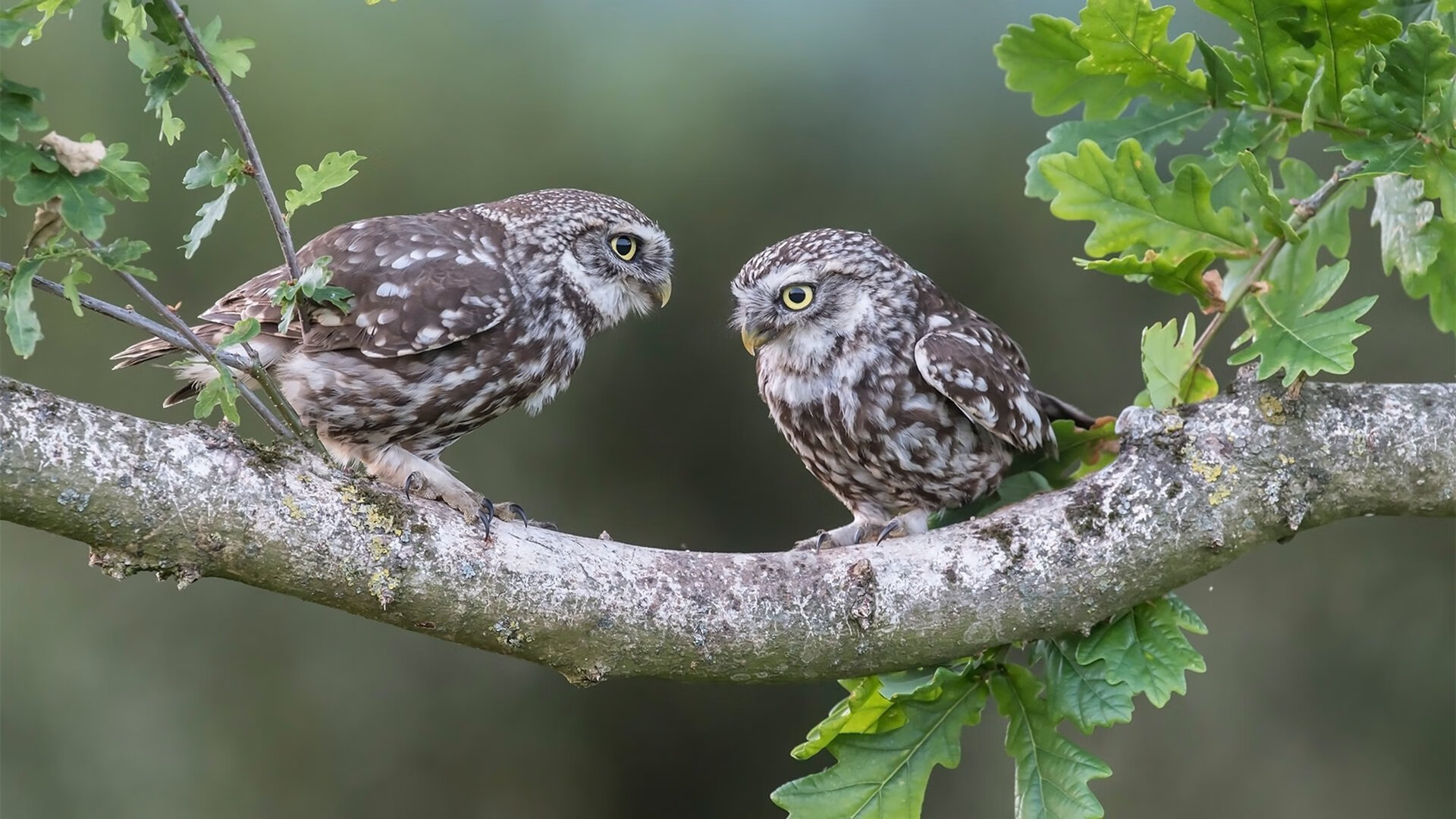 开云权威入口-“青训营地配备专业心理辅导，关注少年身心健康”，青训营介绍